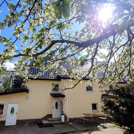 Gosciniec Jas -Sniadania I Obiadokolacje Szwedzki Stol W Cenie Bezplatny Parking Шклярска-Поремба Экстерьер фото